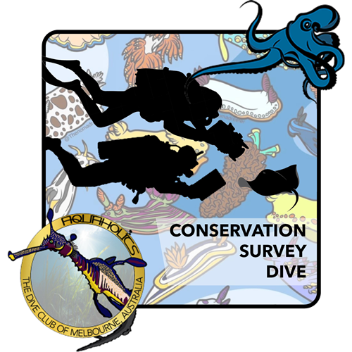 Conservation Survey Dive : Any Destination